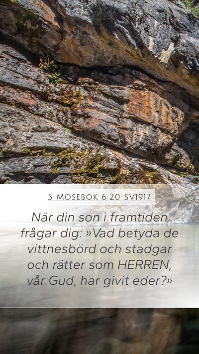 5 Mosebok 6:20 SV1917 Bible Verse Image