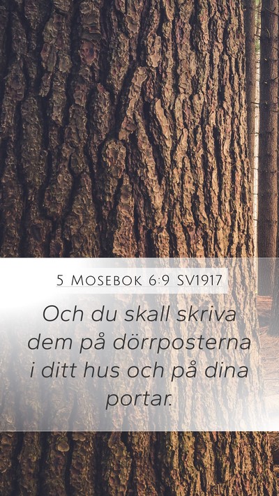 5 Mosebok 6:9 SV1917 Mobile Phone Wallpaper - Och du skall skriva dem på dörrposterna i ditt - Mobile Bible Verse Wallpaper