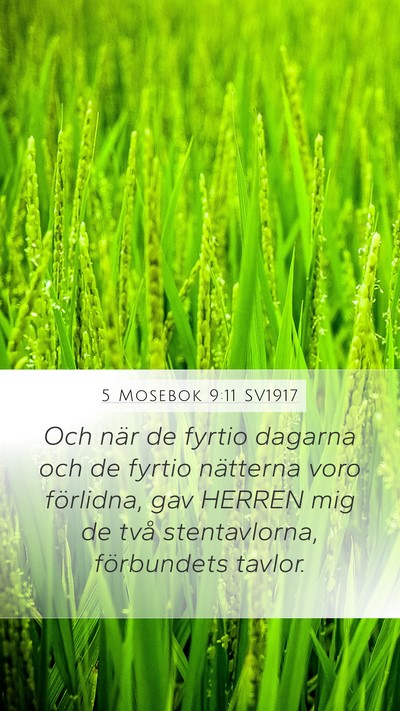 5 Mosebok 9:11 SV1917 Mobile Phone Wallpaper - Och när de fyrtio dagarna och de fyrtio - Mobile Bible Verse Wallpaper