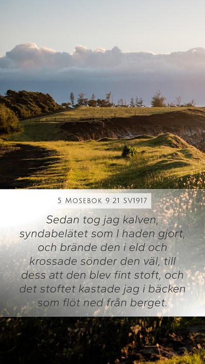 5 Mosebok 9:21 SV1917 Bible Verse Image