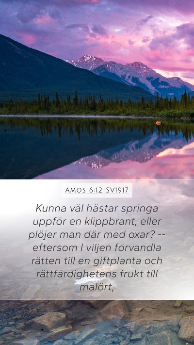 Amos 6:12 SV1917 Bible Verse Image