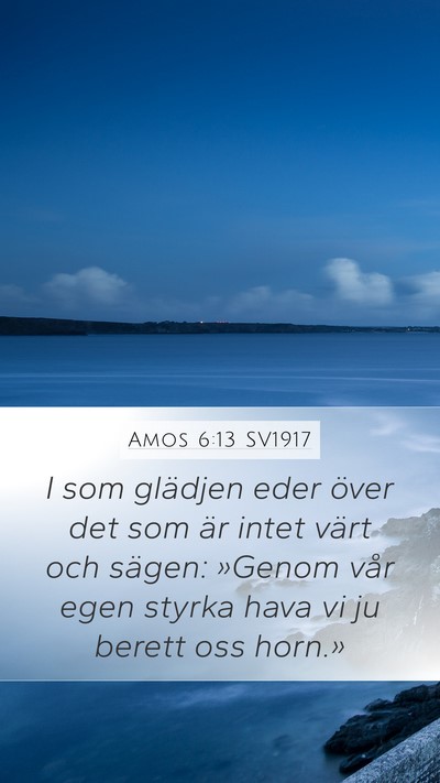 Amos 6:13 SV1917 Bible Verse Image