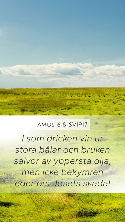 Amos 6:6 SV1917 Bible Verse Image