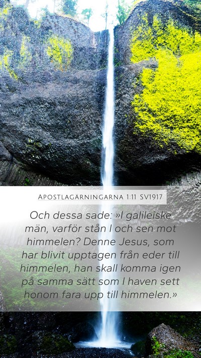 Apostlagärningarna 1:11 SV1917 Bible Verse Image