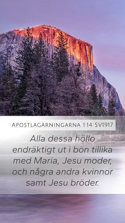 Apostlagärningarna 1:14 SV1917 Bible Verse Image