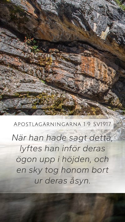 Apostlagärningarna 1:9 SV1917 Bible Verse Image