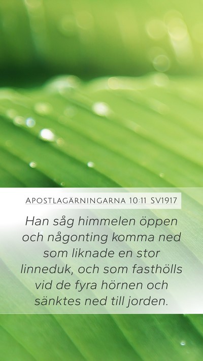 Apostlagärningarna 10:11 SV1917 Bible Verse Image