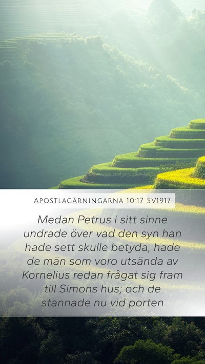 Apostlagärningarna 10:17 SV1917 Bible Verse Image