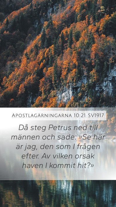 Apostlagärningarna 10:21 SV1917 Mobile Phone Wallpaper - Då steg Petrus ned till männen och sade: »Se - Mobile Bible Verse Wallpaper