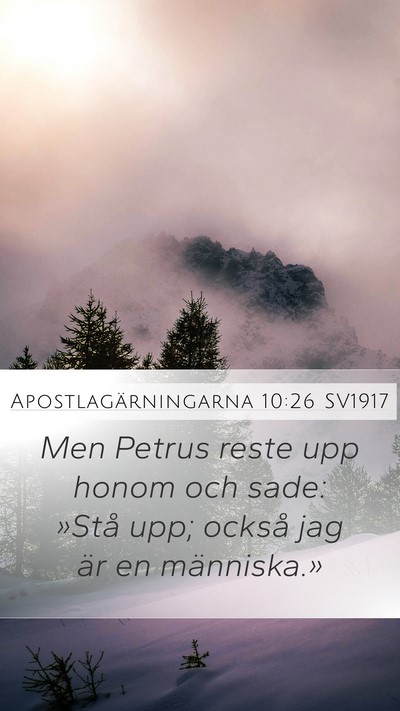 Apostlagärningarna 10:26 SV1917 Bible Verse Image