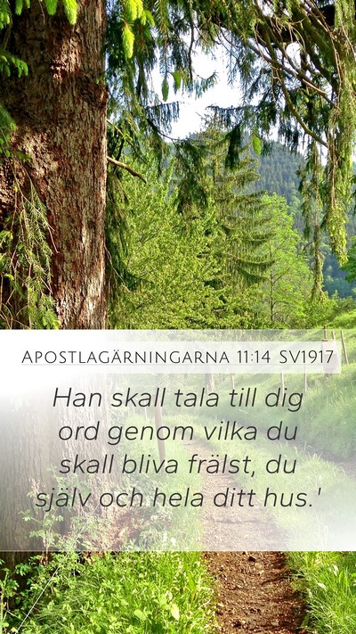 Apostlagärningarna 11:14 SV1917 Bible Verse Image