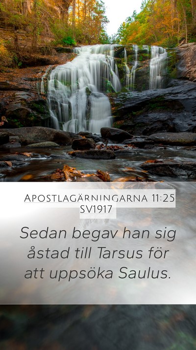 Apostlagärningarna 11:25 SV1917 Bible Verse Image