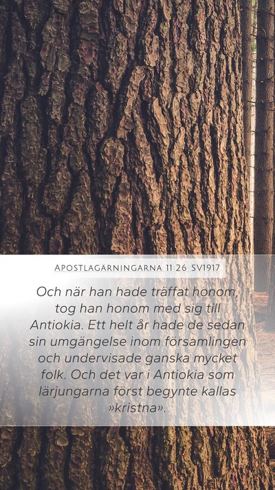 Apostlagärningarna 11:26 SV1917 Bible Verse Image