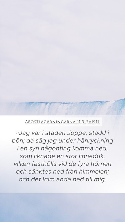 Apostlagärningarna 11:5 SV1917 Bible Verse Image