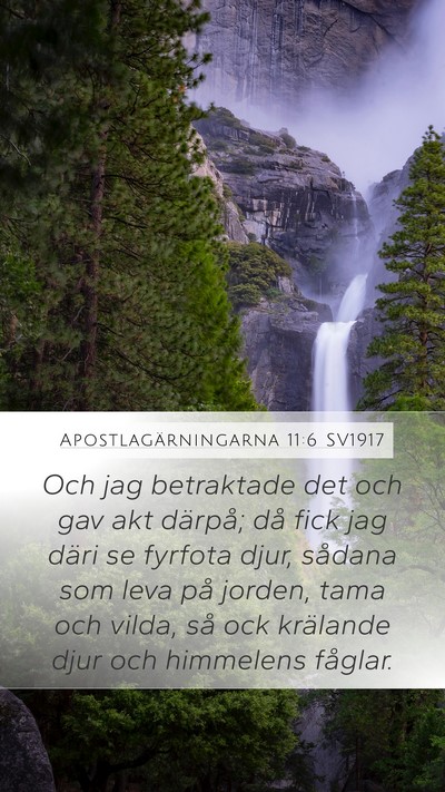 Apostlagärningarna 11:6 SV1917 Bible Verse Image