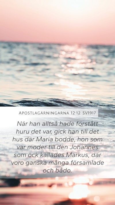 Apostlagärningarna 12:12 SV1917 Bible Verse Image
