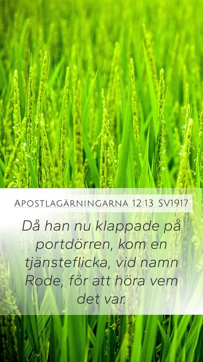 Apostlagärningarna 12:13 SV1917 Bible Verse Image