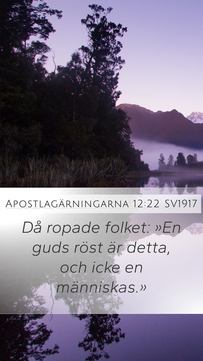 Apostlagärningarna 12:22 SV1917 Bible Verse Image