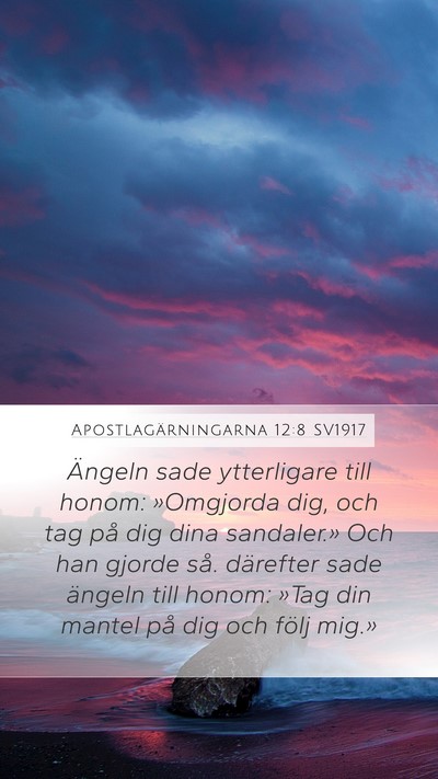 Apostlagärningarna 12:8 SV1917 Bible Verse Image