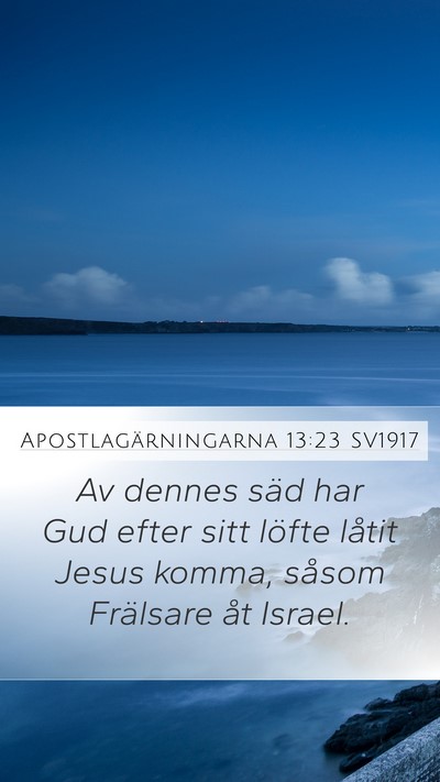 Apostlagärningarna 13:23 SV1917 Bible Verse Image