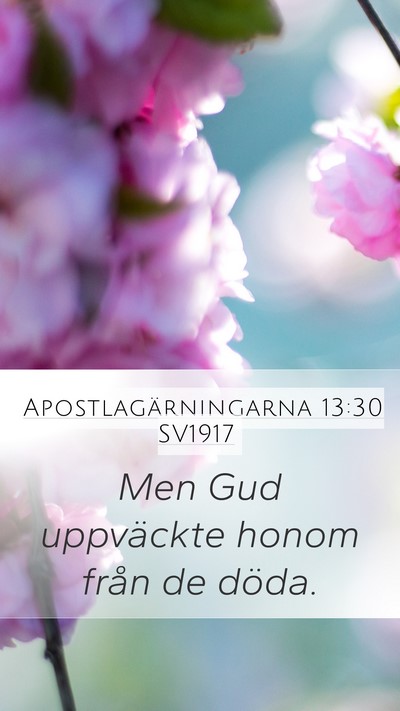 Apostlagärningarna 13:30 SV1917 Bible Verse Image