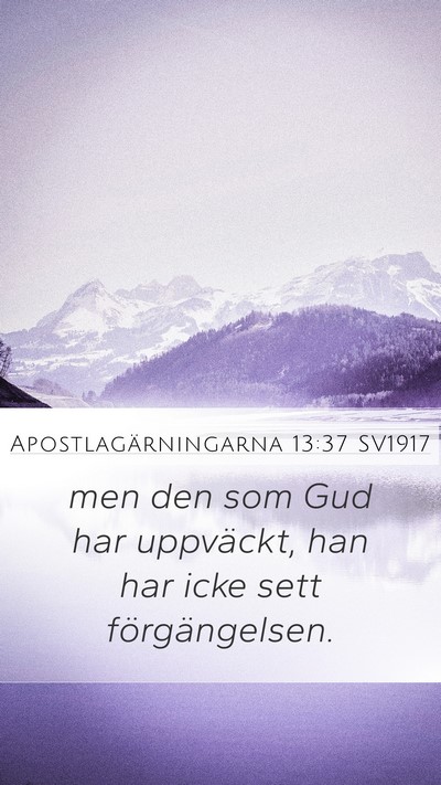 Apostlagärningarna 13:37 SV1917 Bible Verse Image
