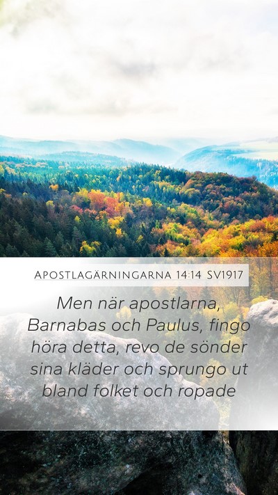 Apostlagärningarna 14:14 SV1917 Bible Verse Image
