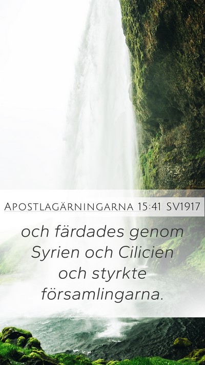 Apostlagärningarna 15:41 SV1917 Bible Verse Image