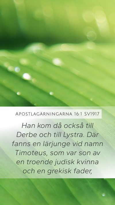 Apostlagärningarna 16:1 SV1917 Bible Verse Image