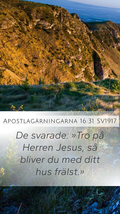 Apostlagärningarna 16:31 SV1917 Bible Verse Image