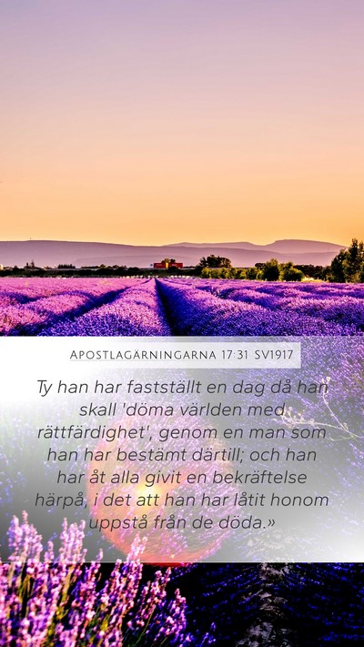 Apostlagärningarna 17:31 SV1917 Bible Verse Image
