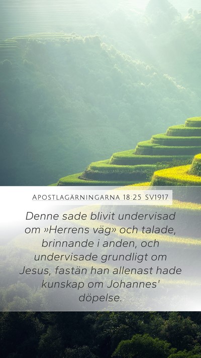 Apostlagärningarna 18:25 SV1917 Bible Verse Image