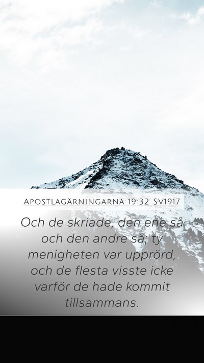 Apostlagärningarna 19:32 SV1917 Bible Verse Image