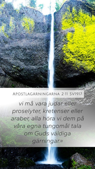 Apostlagärningarna 2:11 SV1917 Bible Verse Image