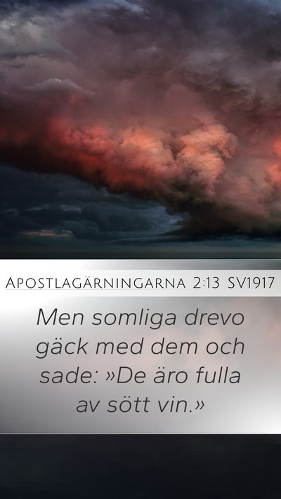 Apostlagärningarna 2:13 SV1917 Bible Verse Image
