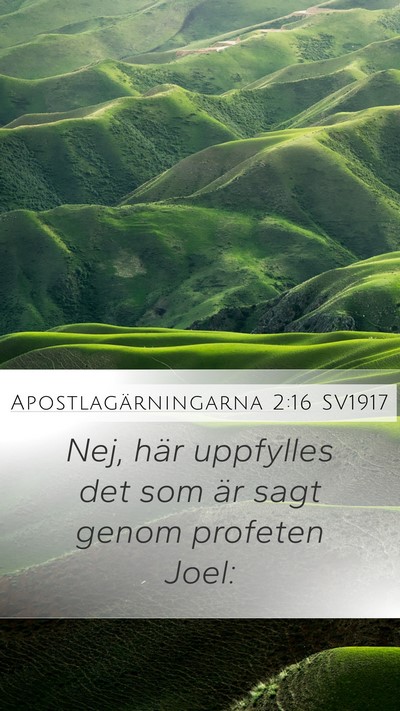 Apostlagärningarna 2:16 SV1917 Bible Verse Image