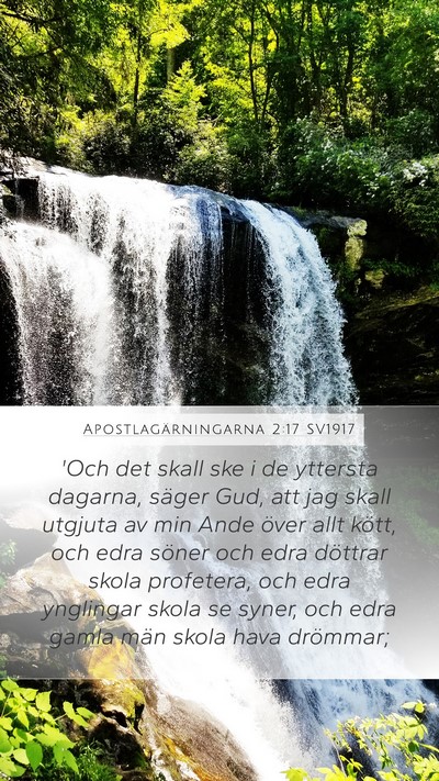 Apostlagärningarna 2:17 SV1917 Bible Verse Image