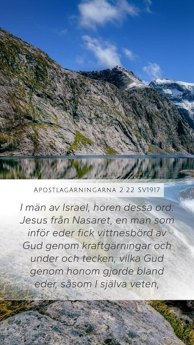 Apostlagärningarna 2:22 SV1917 Bible Verse Image