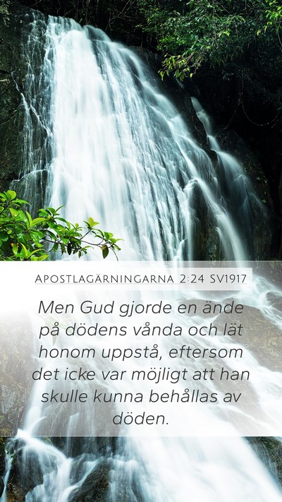 Apostlagärningarna 2:24 SV1917 Bible Verse Image