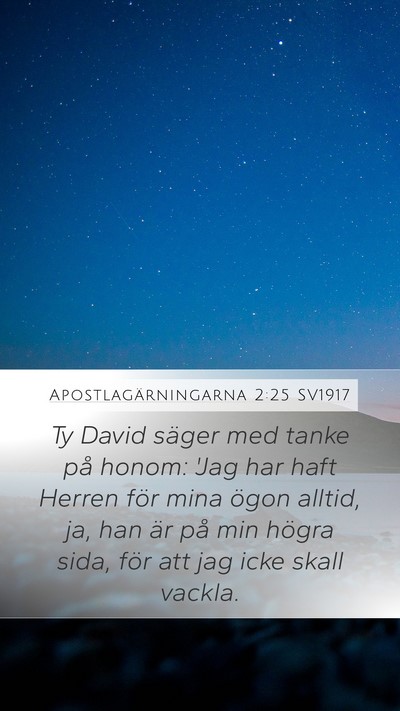 Apostlagärningarna 2:25 SV1917 Bible Verse Image