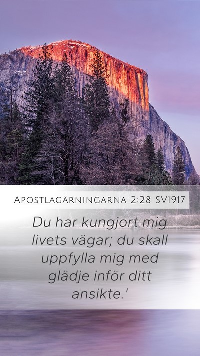 Apostlagärningarna 2:28 SV1917 Bible Verse Image