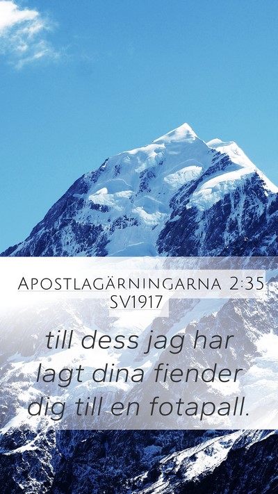 Apostlagärningarna 2:35 SV1917 Bible Verse Image