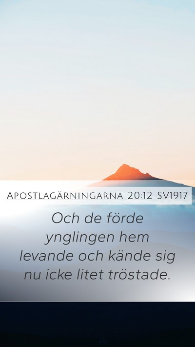 Apostlagärningarna 20:12 SV1917 Bible Verse Image