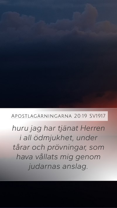 Apostlagärningarna 20:19 SV1917 Bible Verse Image