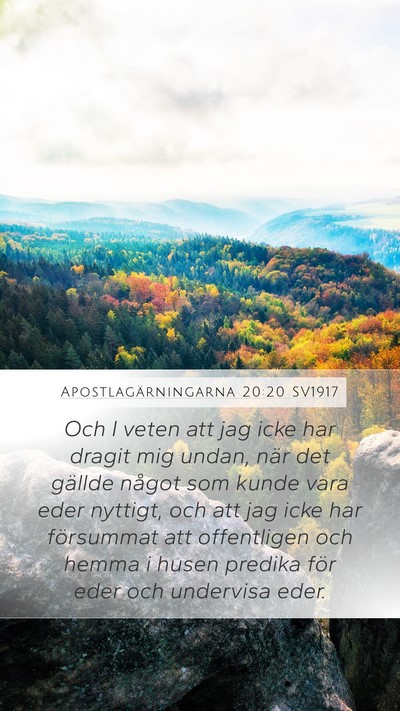Apostlagärningarna 20:20 SV1917 Bible Verse Image