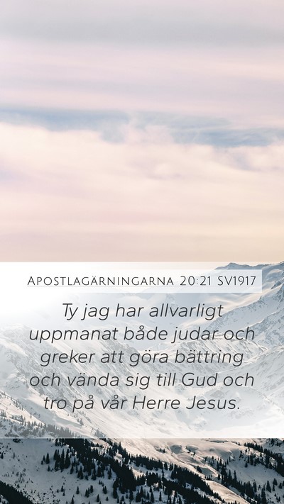 Apostlagärningarna 20:21 SV1917 Bible Verse Image