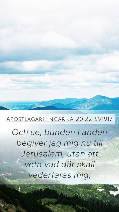 Apostlagärningarna 20:22 SV1917 Bible Verse Image