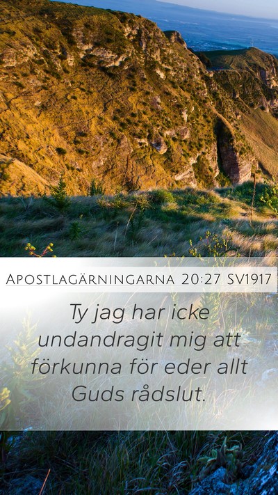 Apostlagärningarna 20:27 SV1917 Bible Verse Image
