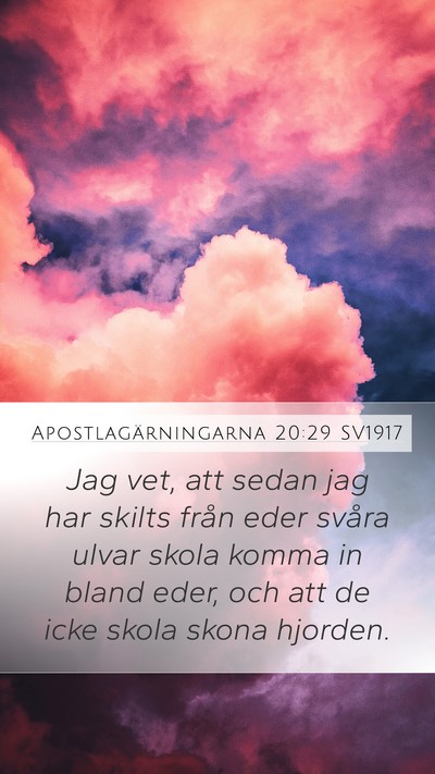 Apostlagärningarna 20:29 SV1917 Bible Verse Image