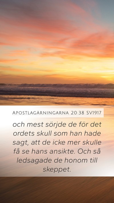 Apostlagärningarna 20:38 SV1917 Bible Verse Image